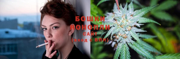 бошки Нея