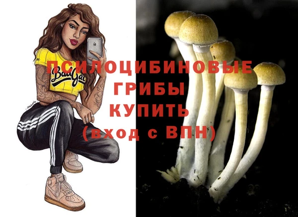 гидра Нефтекумск