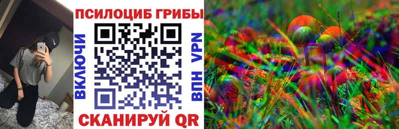 darknet Telegram сколько стоит Партизанск Псилоцибиновые грибы мухоморы