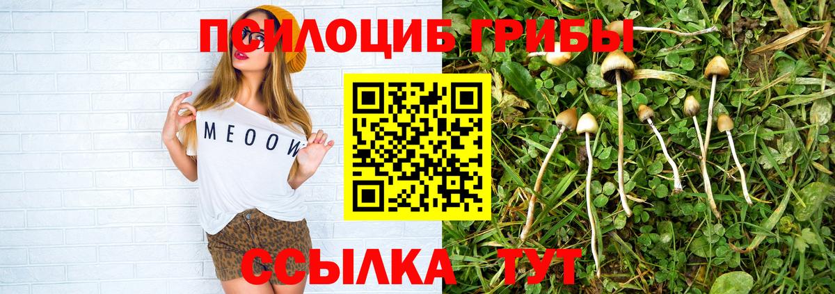 Галлюциногенные грибы Magic Shrooms Партизанск