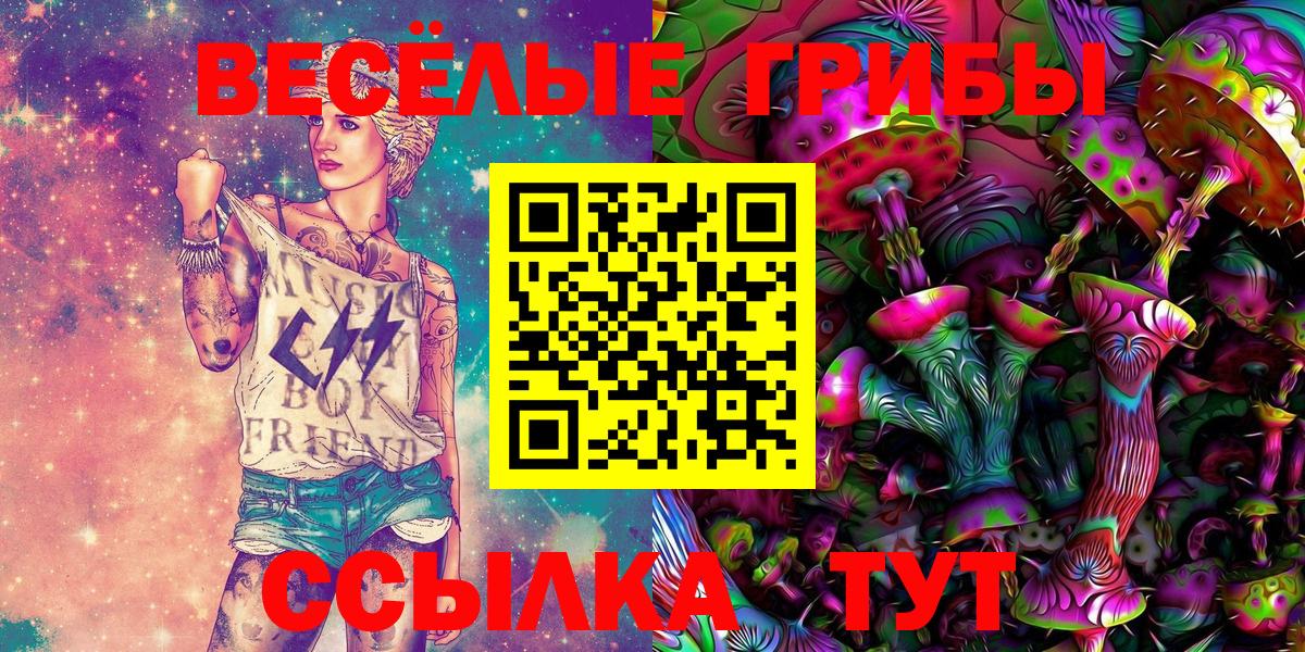 Галлюциногенные грибы Psilocybine cubensis  Вход с VPN  Партизанск 